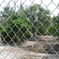 Collaborating for a Better Orange County: The Power of Community Organizations