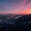 Becoming an Advocate for a Community Organization in Orange County, CA